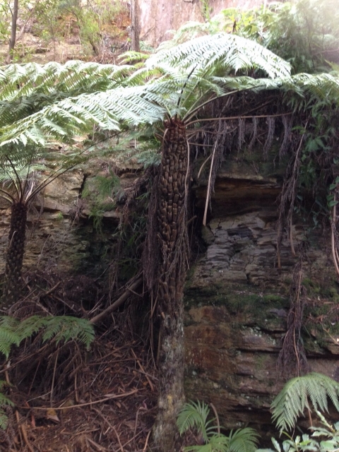 IMG-20150730-WA0047