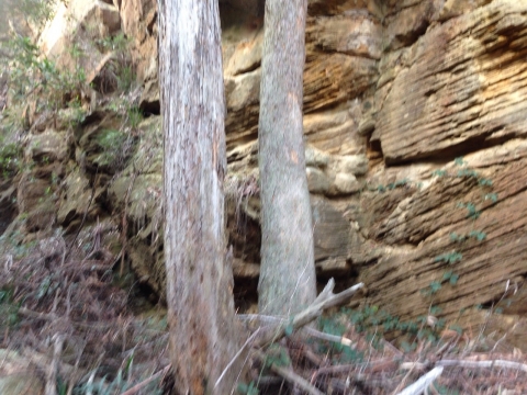 IMG-20150730-WA0030