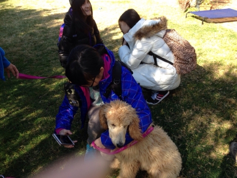 IMG-20150726-WA0051