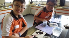 Science Enrichment Workshop for YMT Catholic Primary School (HWR)