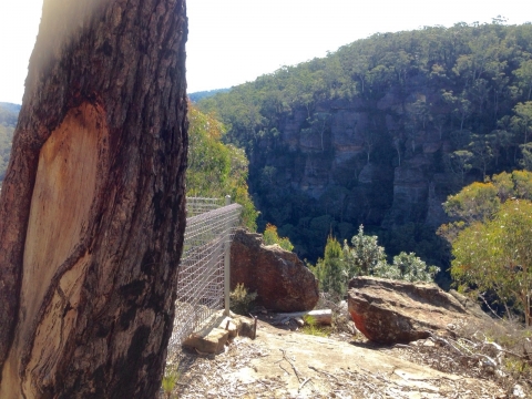 IMG-20150730-WA0043