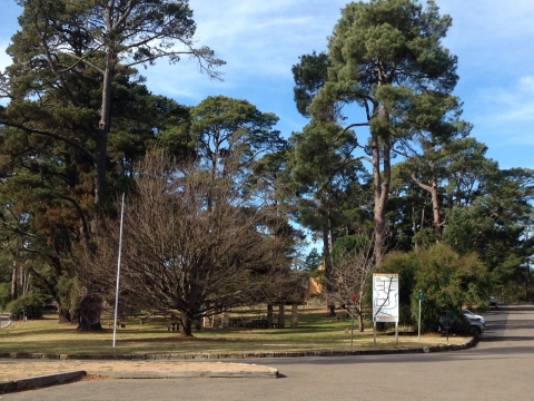 IMG-20150730-WA0055