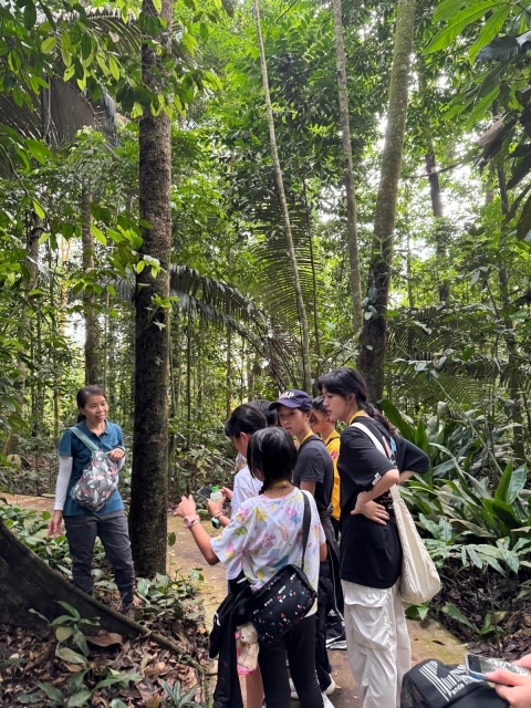 Malaysia (4)