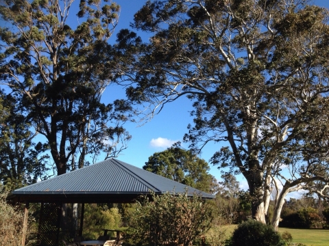 IMG-20150726-WA0037