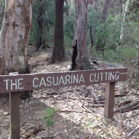 IMG-20150730-WA0028