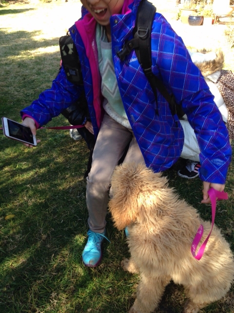 IMG-20150726-WA0050