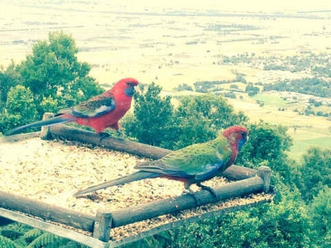 IMG-20150723-WA0014