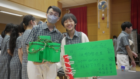stem (7)