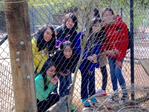 IMG-20150725-WA0045