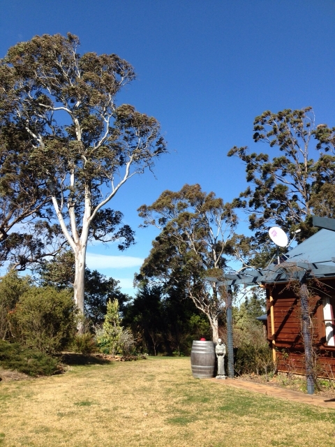 IMG-20150726-WA0023