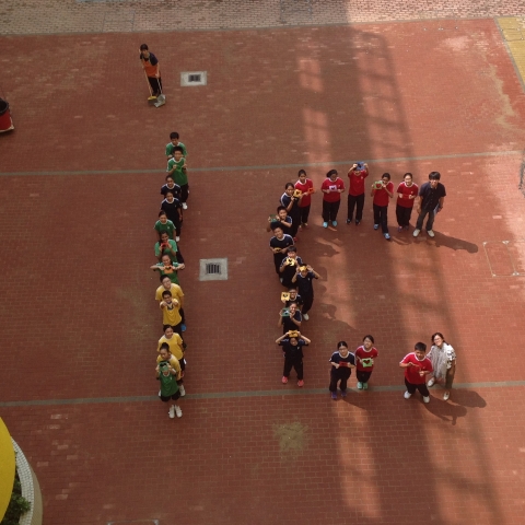 1C