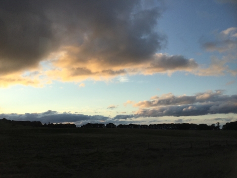 IMG-20150725-WA0068