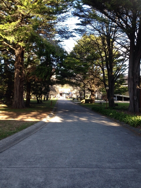 IMG-20150727-WA0023