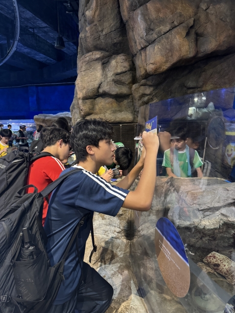 ocean park (4)