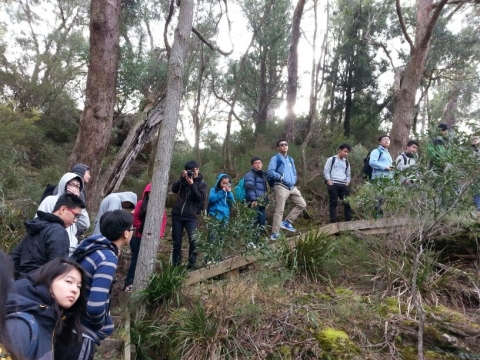 IMG-20150730-WA0001