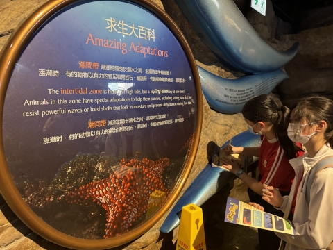 ocean park (3)