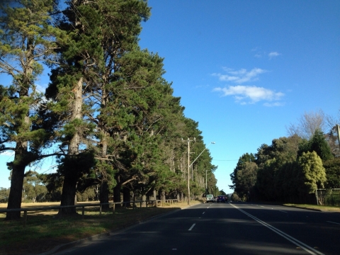 IMG-20150729-WA0010