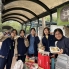 picnic (4)