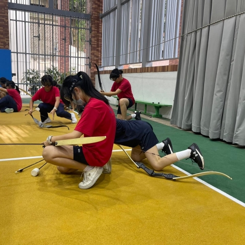 Discipline Activities