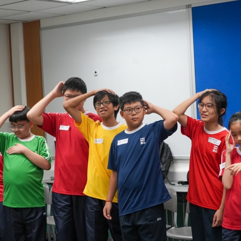 S1 top (2)