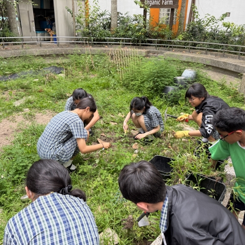 Space Seed Experiential Programme