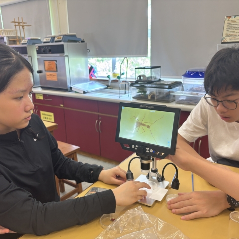 Astronomy and Environmental Education Study Course