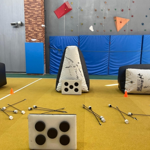 Discipline Activities