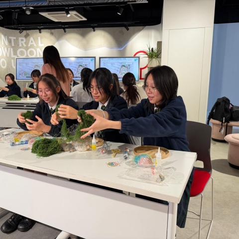 WhatsApp Image 2026-01-30 at 9.40.07 PM (2)